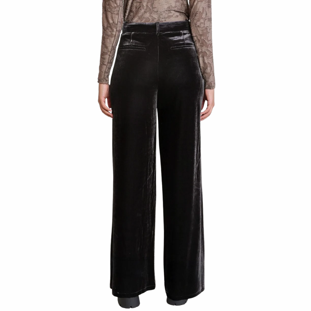 PANTALON VELOURS-DEX